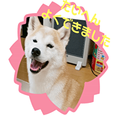 [LINEスタンプ] こもむぎズッコケ劇場