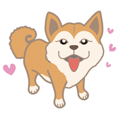 [LINEスタンプ] 柴犬のコウチャ