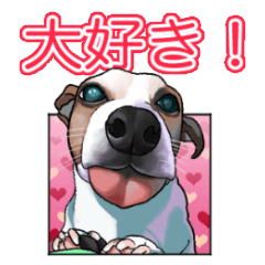 [LINEスタンプ] ジャックラッセルテリアのマリリン2