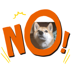 [LINEスタンプ] ジュジュワンコの気持ち