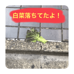 [LINEスタンプ] 落ちてまスタンプ ver.001