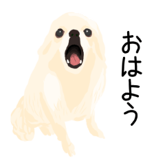 [LINEスタンプ] 金田さん家のわんちゃん