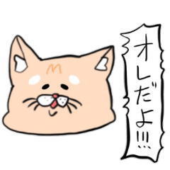 [LINEスタンプ] 猫って言うな！オレりきゅう