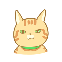 [LINEスタンプ] きにゃこ君のスタンプでございます！の画像（メイン）