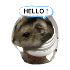 [LINEスタンプ] ジャンガリアンの吹き出しスタンプ