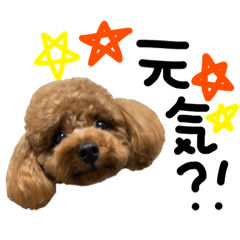 [LINEスタンプ] 廣吉mocoと申します。4