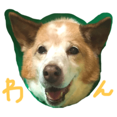 [LINEスタンプ] まめちんとことちん
