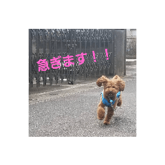 [LINEスタンプ] モフ日記