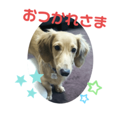 [LINEスタンプ] チョビくんスタンプ5