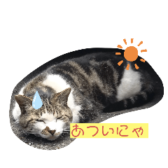 [LINEスタンプ] ねむねむ猫スタンプ