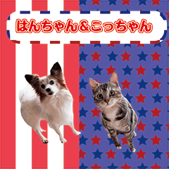 [LINEスタンプ] はんちゃん＆こっちゃん仲良しスタンプ