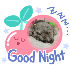[LINEスタンプ] ひめぷー