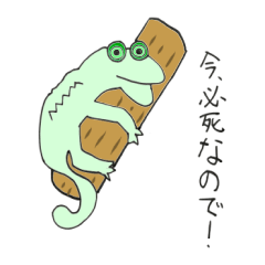 [LINEスタンプ] なのでカメレオンと仲間たち