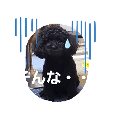 [LINEスタンプ] わんこの響輝くん ②