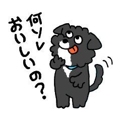 [LINEスタンプ] ね、くろちゃん。