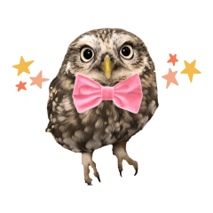 [LINEスタンプ] コキンメフクロウのハミィ その2