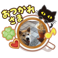 [LINEスタンプ] 伊藤さん家の柴犬あずきちゃんV er3