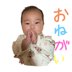 [LINEスタンプ] ひよちゃんちやん