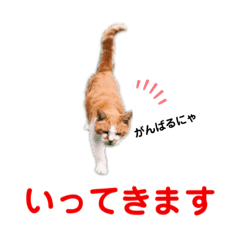 [LINEスタンプ] 港のミーコ