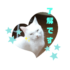 [LINEスタンプ] TENKOにゃんずฅ4