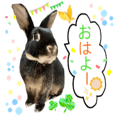 [LINEスタンプ] うさぎのりんちゃん