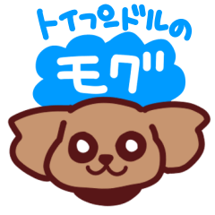[LINEスタンプ] トイプードルのモグ