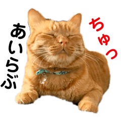 [LINEスタンプ] それいけ でしまし若王子＆ファミリー