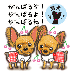 [LINEスタンプ] こっちゃん＆にこちゃんはサクランボ