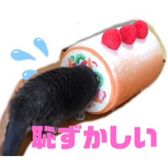 [LINEスタンプ] 華*華スタンプ日常