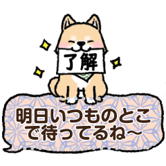 [LINEスタンプ] 柴犬×和柄 吹き出しメッセージの画像（メイン）