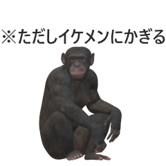 [LINEスタンプ] 文末につけるとジワル