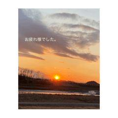 [LINEスタンプ] 丁寧な和なスタンプ