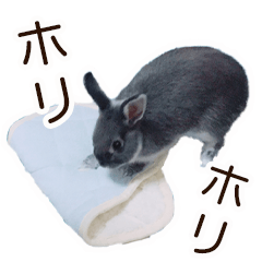 うさぎのはばタンの気まぐれスタンプ