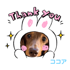 [LINEスタンプ] ココ坊❓マリンちゃん❓ロビたん❓笑笑