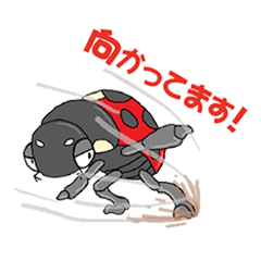 [LINEスタンプ] アクティブなてんとう虫