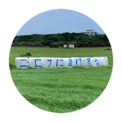[LINEスタンプ] 石垣島からのご挨拶(2)