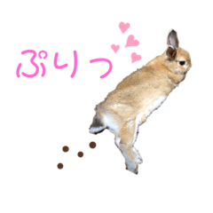 [LINEスタンプ] おもち-Omochi