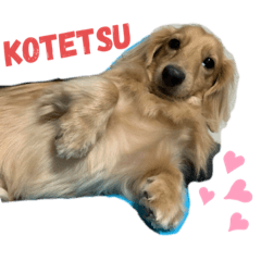 [LINEスタンプ] ボクは藤本kotetsuっち！！