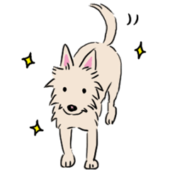 [LINEスタンプ] テリア系雑種犬