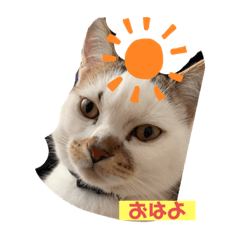 [LINEスタンプ] 平次＆孝2