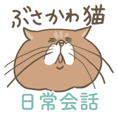 [LINEスタンプ] ぶさかわ猫の日常会話