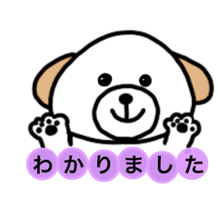 [LINEスタンプ] シーズーそうたくん