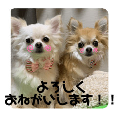 [LINEスタンプ] nico＆jin no.2