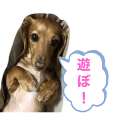 [LINEスタンプ] ゆめちゃんの1日②