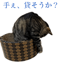 [LINEスタンプ] ただのねこのスタンプ。2