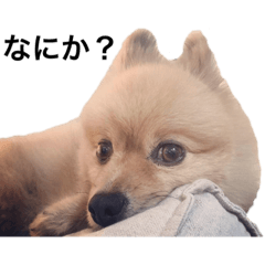 [LINEスタンプ] らいくんまん1