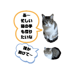 [LINEスタンプ] 職人あるある