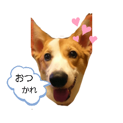 [LINEスタンプ] DAKOchan