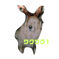 [LINEスタンプ] ばーびー101