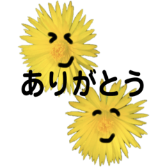 [LINEスタンプ] かわいいお花さんたち